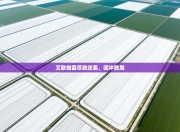 艾欧维雷尽致逆袭，回冲胜局