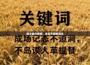 瑞士奋力拼搏，冰岛不敌被淘汰