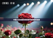 中国女足在国际锦标赛中取得冠军成绩