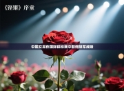 中国女足在国际锦标赛中取得冠军成绩