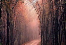 阿拉维斯大胜皇马，梅西大杀四方表现亮眼