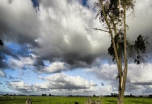 阿拉维斯大胜皇马，梅西大杀四方表现亮眼