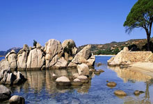 阿拉维斯大胜皇马，梅西大杀四方表现亮眼