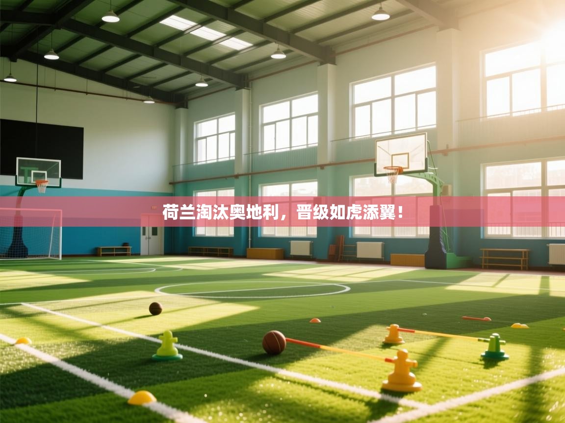 荷兰淘汰奥地利,晋级如虎添翼! 第1张