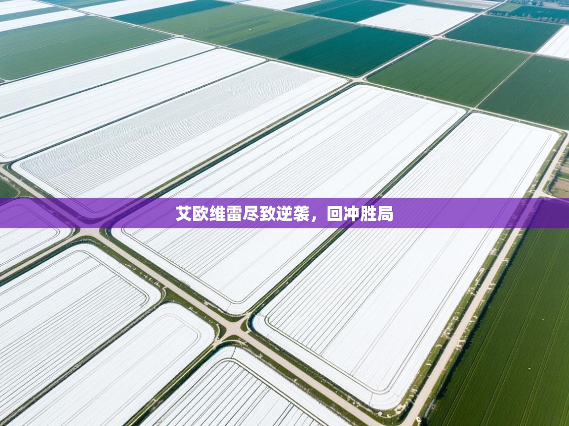 艾欧维雷尽致逆袭，回冲胜局  第1张