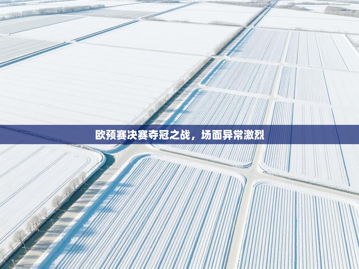 欧预赛决赛夺冠之战，场面异常激烈  第2张