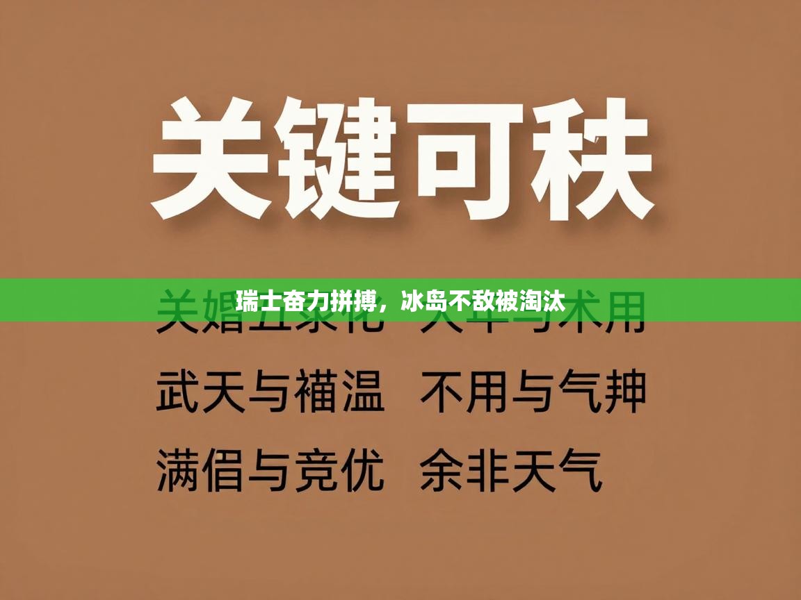 瑞士奋力拼搏，冰岛不敌被淘汰  第2张